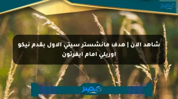 شاهد الآن | هدف مانشستر سيتي الأول بقدم نيكو أوريلي أمام إيفرتون